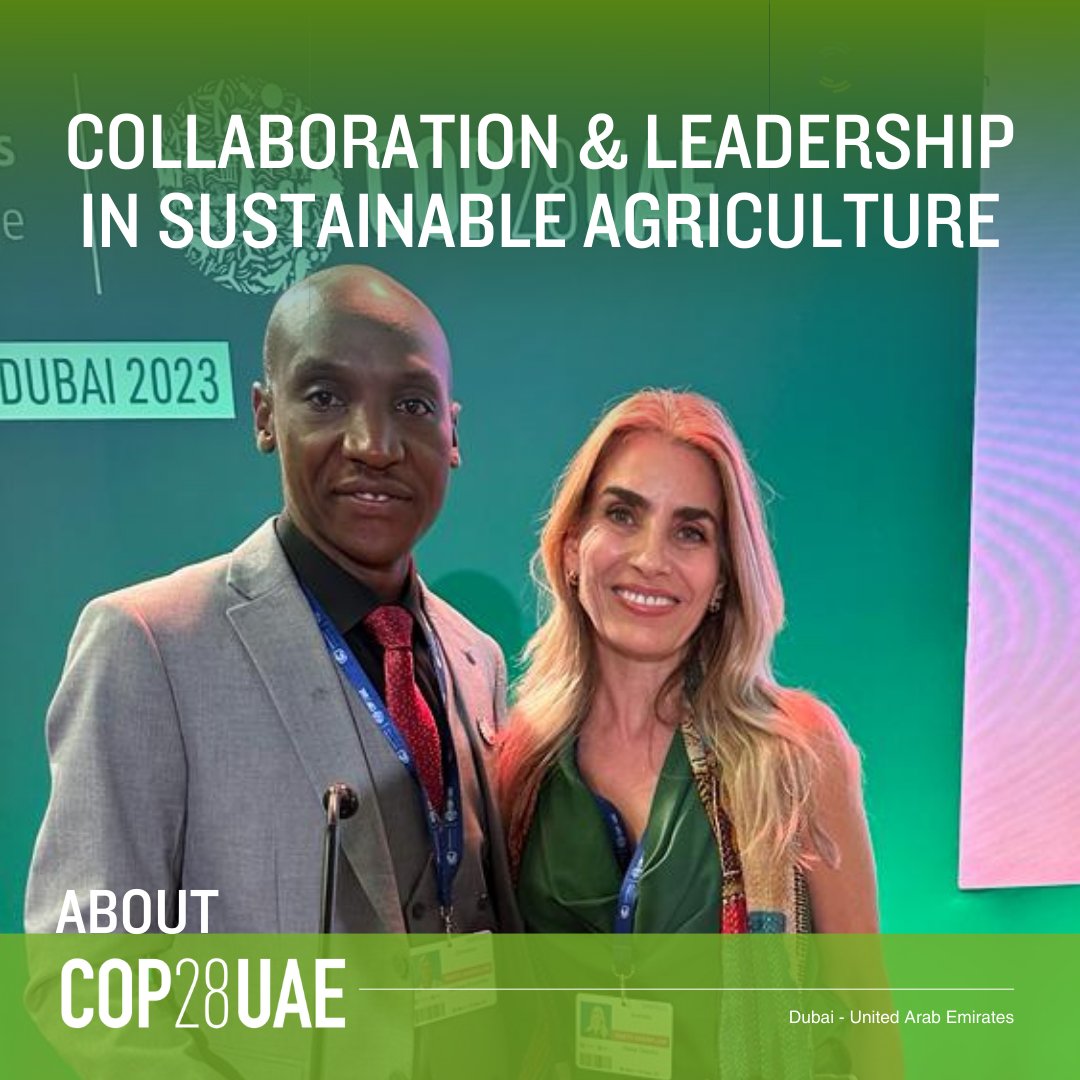 In our C4C pivotal panel session on sustainable agriculture in the Blue Zone at COP28, our Australian MPs engaged in meaningful dialogue with legislators from South Africa, Zimbabwe, Kenya, Zambia, Tanzania, Rwanda & Egypt. #COP28 #SustainableAgriculture #BMGF #AusPol #Australia