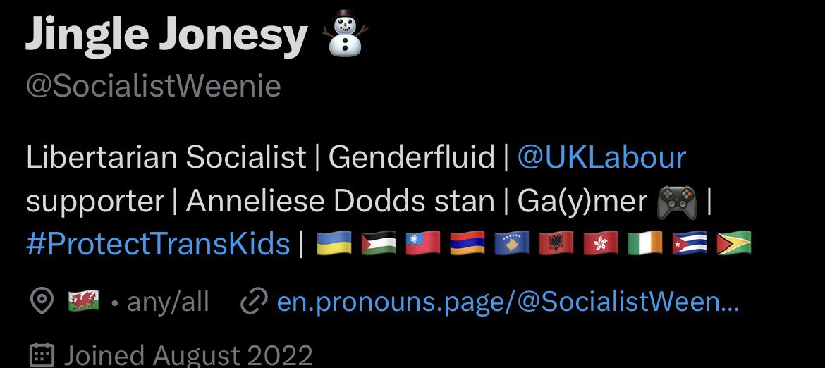 PositivToxicity's tweet image. Most flags in a bio. #supportthecurrentthing