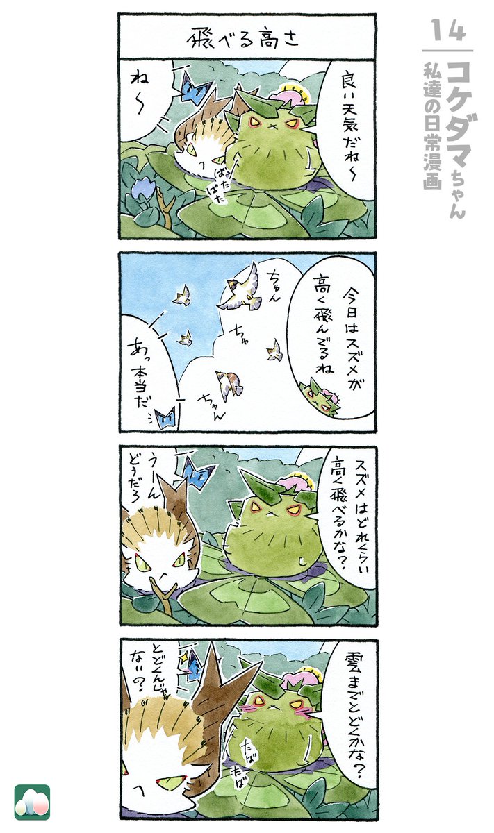 コケダマちゃん 私達の日常漫画 14/16