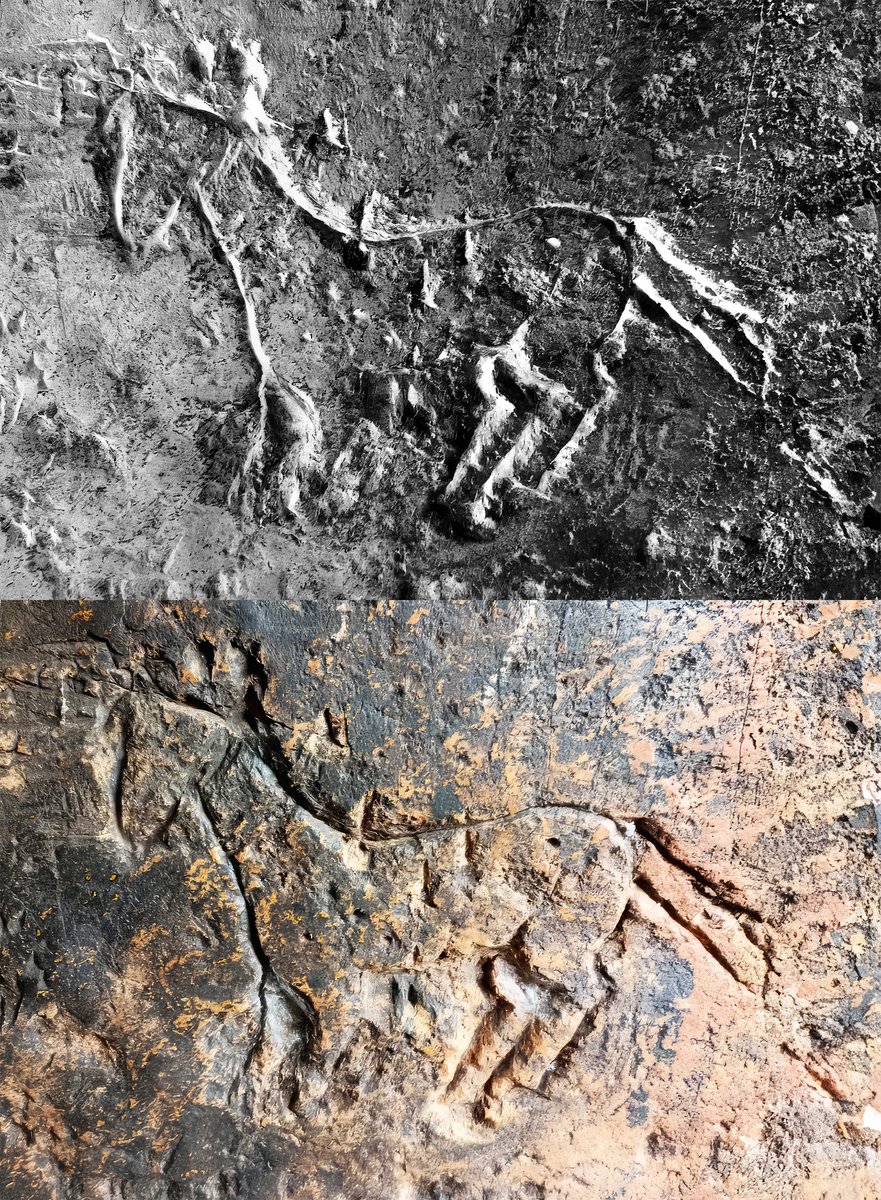 Horse Rockart in Pandavahara Gumpha, Khurda, Odisha is a powerful testament against the fake Aryan Invasion Theory. Its survival now hinges on combating rampant mining activities.
#Archaeology

1/4