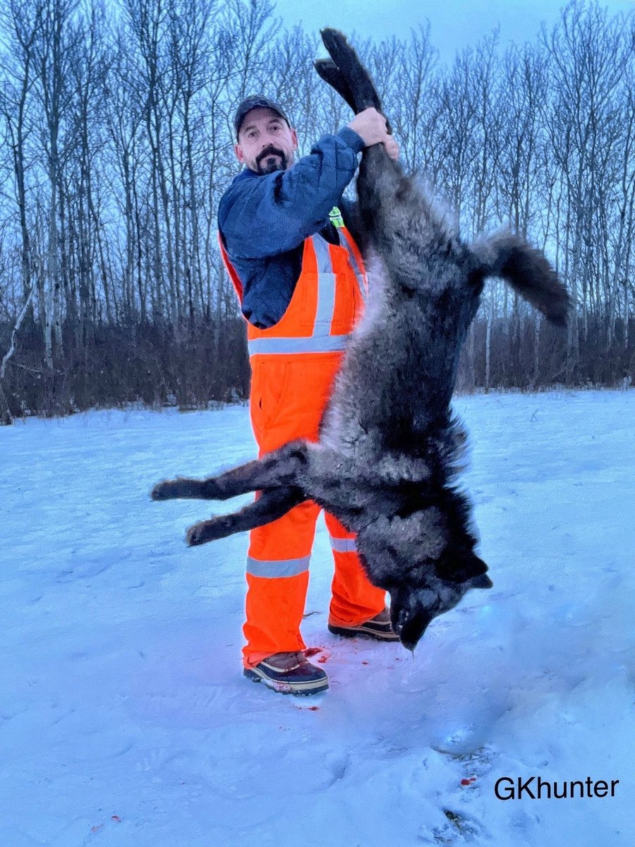 ⁦<a href="/TilghmanWill/">Will</a>⁩  The curse is broken finally on the board 👊😎 young male