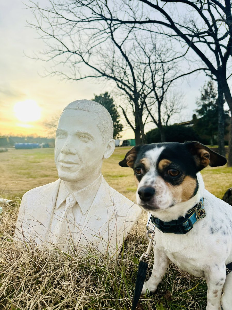 The pups got to hang out with some old guys with big heads today. #ugc #travelugc #presidentsheads
