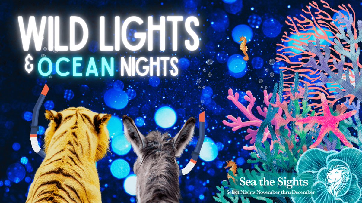 MCXC &amp; Freshman Ada Muzoglu enjoyed their end of the year celebration at the Moorpark Zoo.  The HOLIDAY LIGHTS were beautiful!!!   Thank you EATM!!!