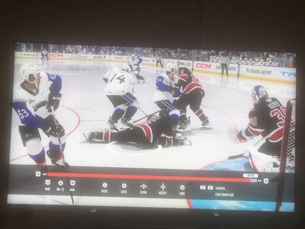 nhl23 player decided to slay randomly