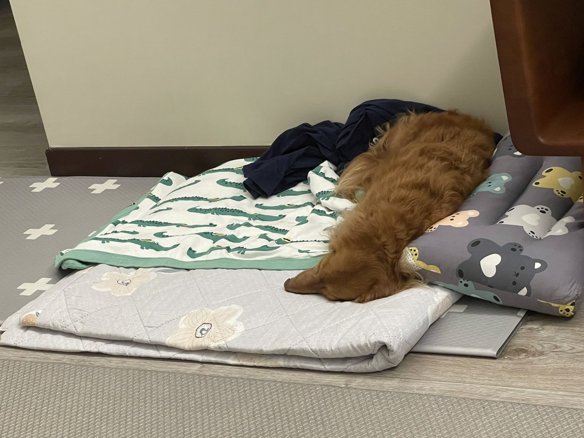 林北精神科 tweet media