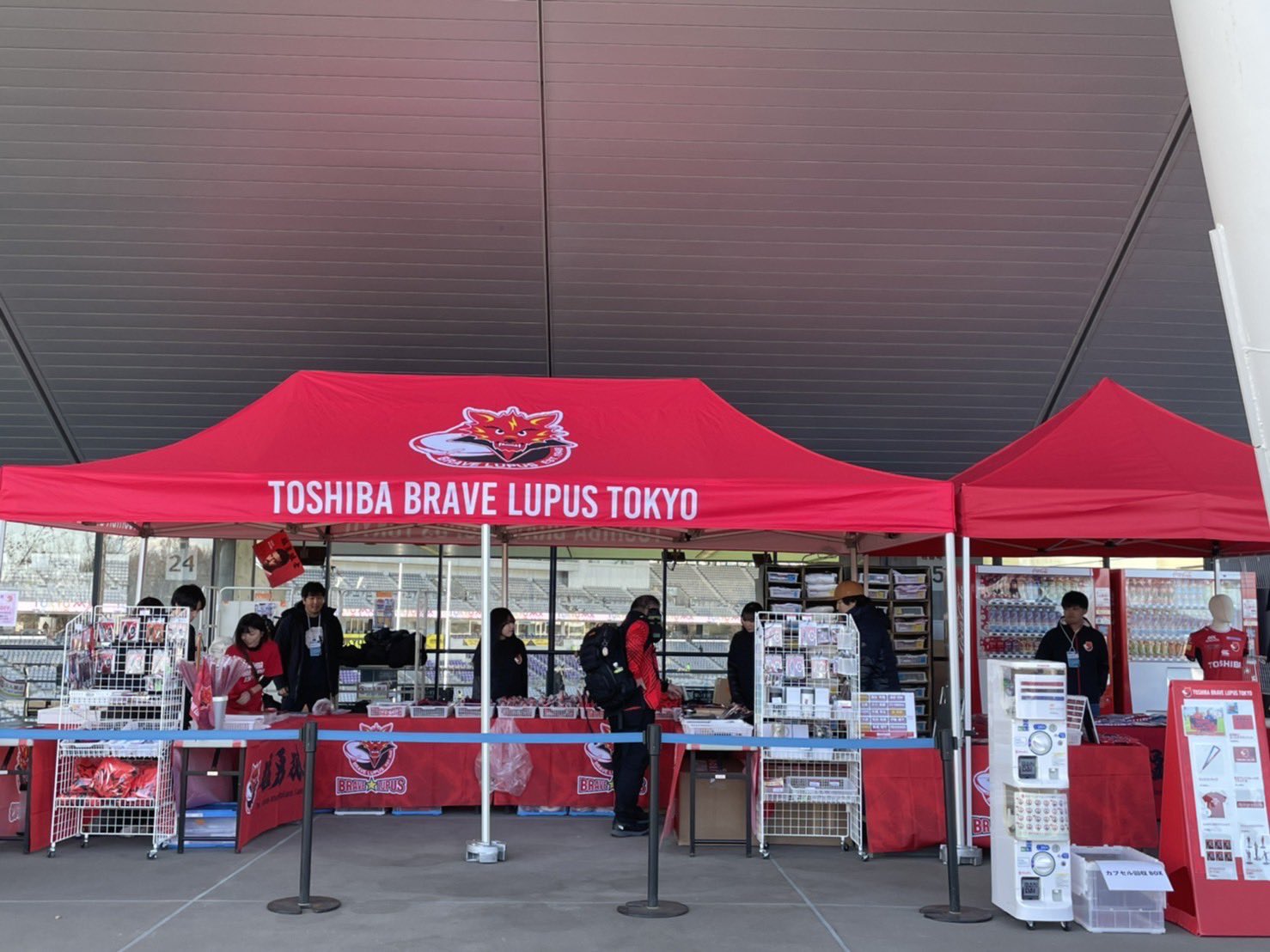 東芝ブレイブルーパス東京 on X: 