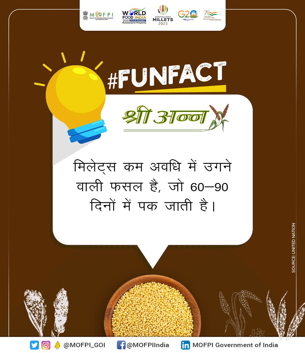 MOFPI_GOI's tweet image. #Millets छोटे किसानों को कुशल फसल चक्र में मदद करते हैं, क्योंकि मिलेट्स को पकने में केवल 60-90 दिन लगते हैं, जबकि समान्यत: अनाज को पकने में 100-140 दिन लगते हैं।

#ShreeAnna
#IYM2023