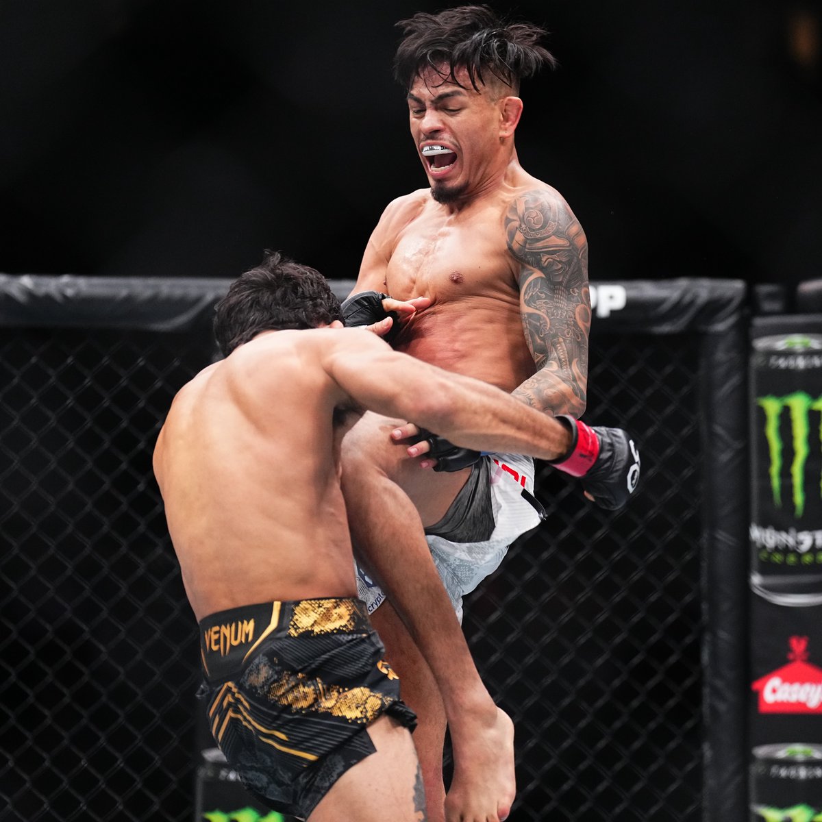 ufc's tweet image. Our co-main is headed to championship rounds!

Who&apos;s winning on your scorecards? 📝 #UFC296