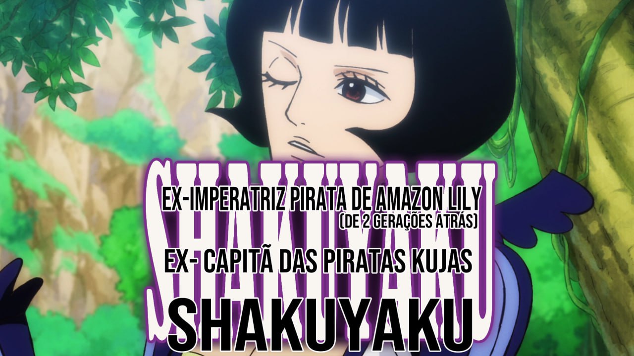 Download One Piece - Episódio 1076 Online em PT-BR - Animes Online