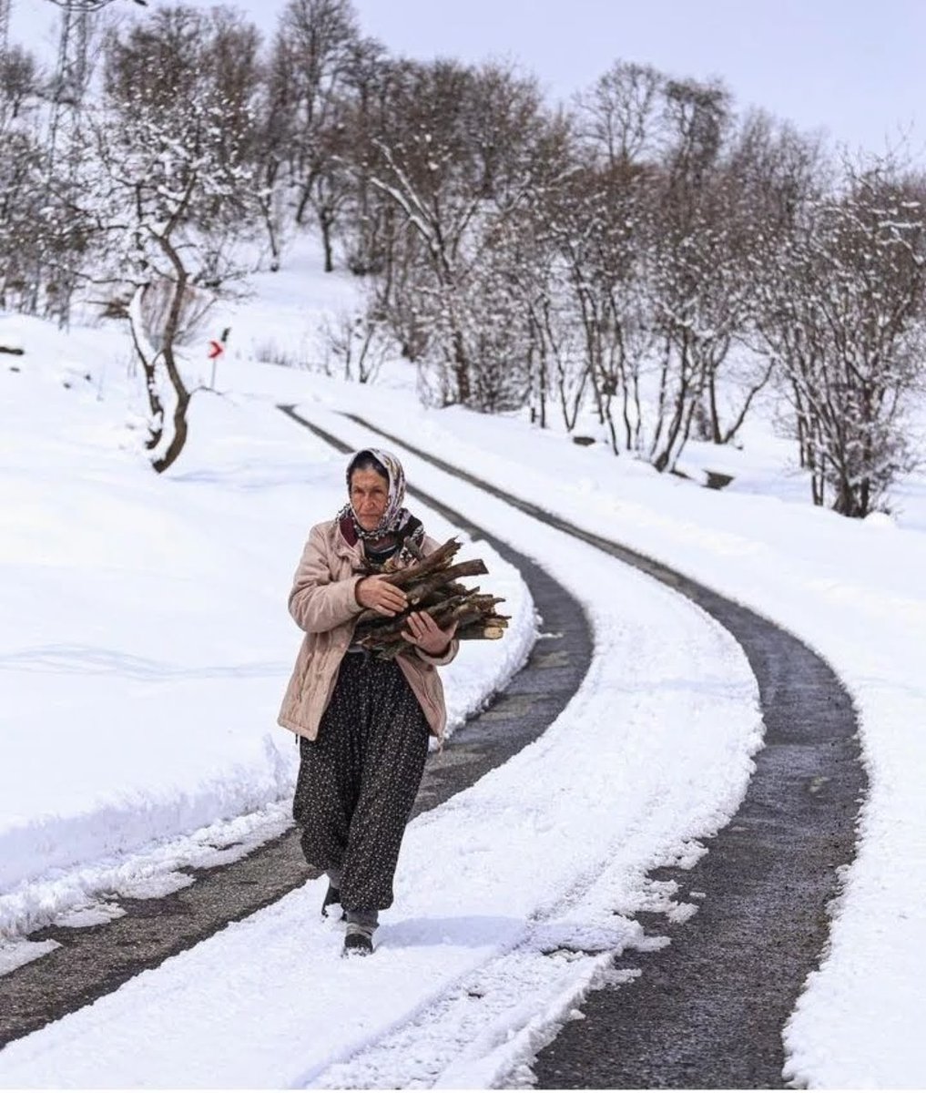 fevziyldz18's tweet photo. Anadoluda kış ayı bir başka oluyor
#Anadolu #Doğa #Memletim #Sivas #Divriği #NaturePhotography #nature https://t.co/rj4L4Pmpgn