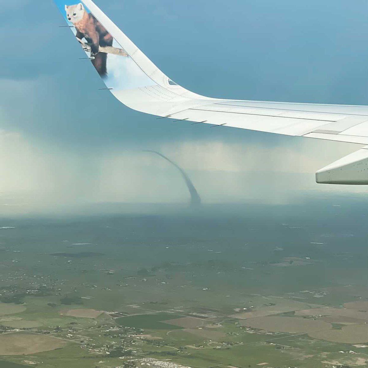 Hourly Marten tweet media