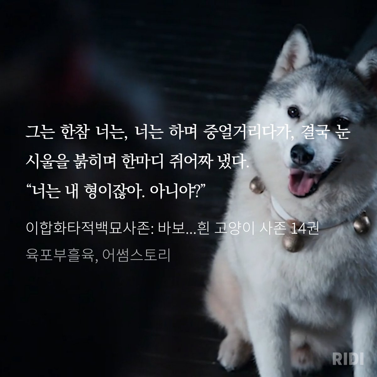DAERYOOKBL's tweet image. ridibooks.com/books/777082322
ㅠㅠ 우리몽이 ,,, 제정신살살녹기시작