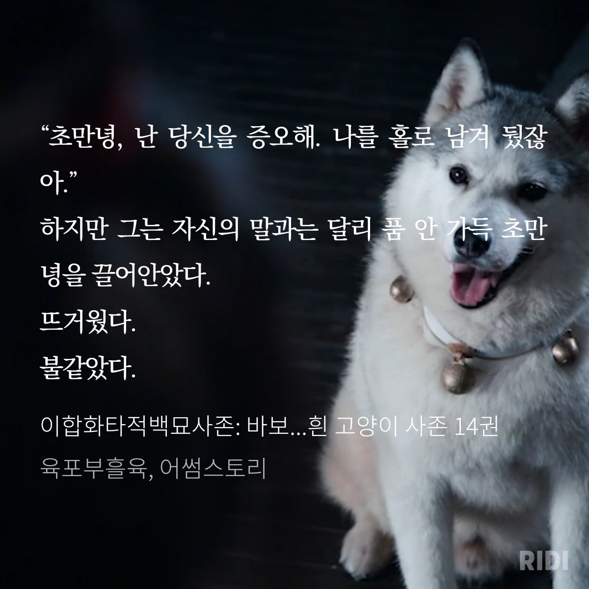 DAERYOOKBL's tweet image. ridibooks.com/books/777082322
답: 본좌는 더는 혼자 외롭게지낼필요가 없구나?
타자가빨라진다