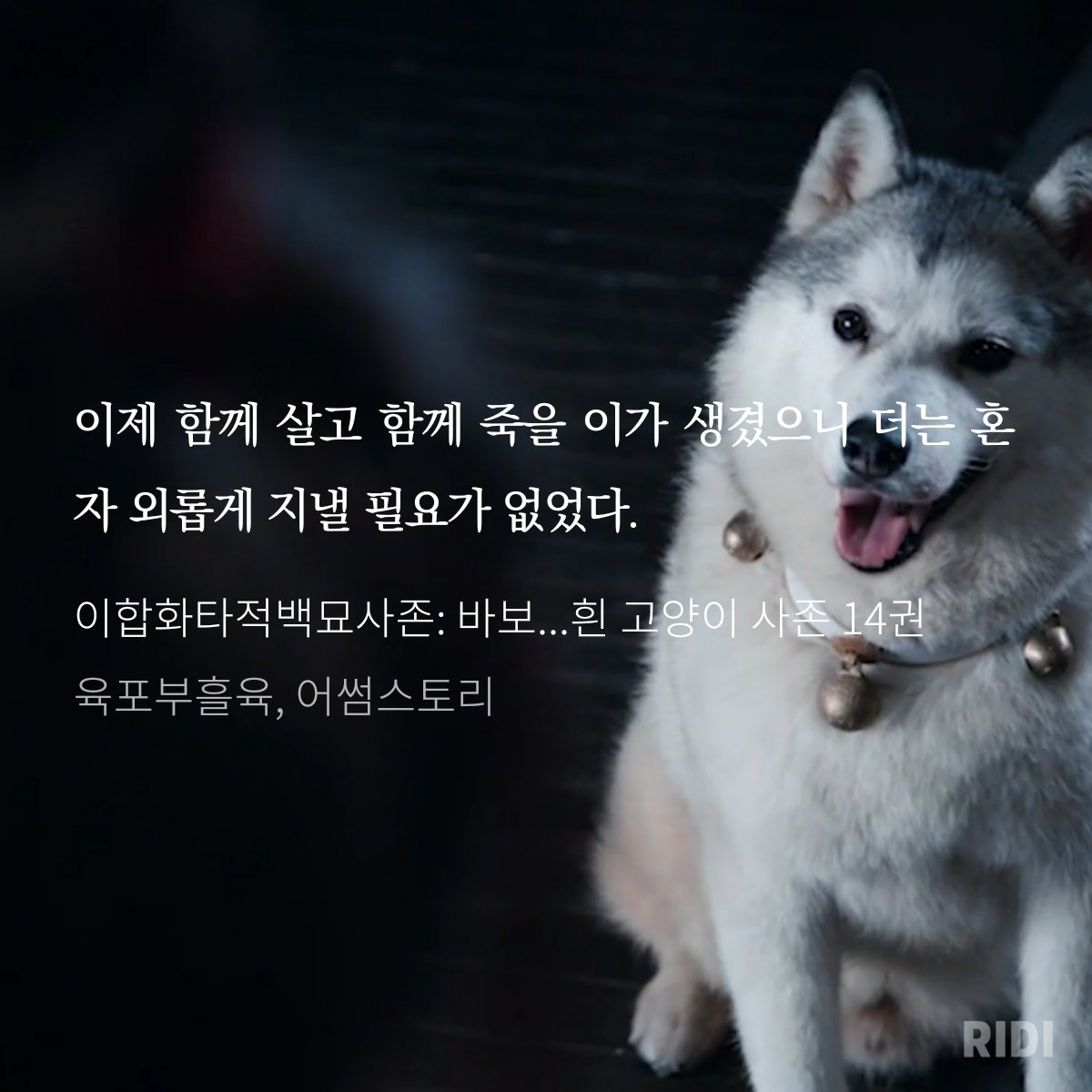 DAERYOOKBL's tweet image. ridibooks.com/books/777082322
답: 본좌는 더는 혼자 외롭게지낼필요가 없구나?
타자가빨라진다