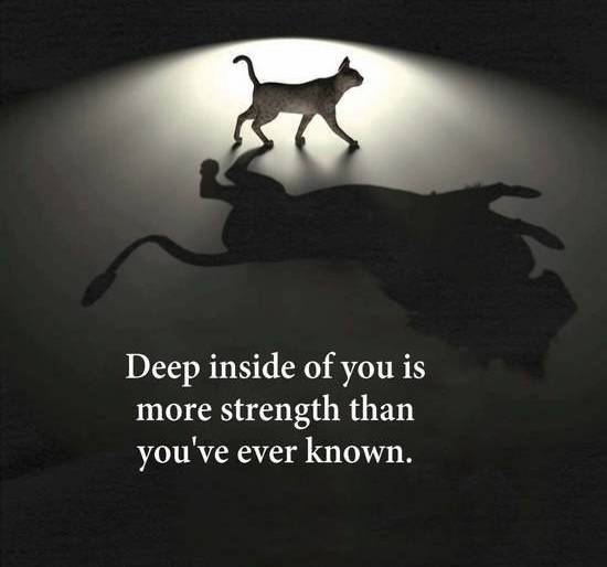 WTFC7's tweet image. #deepinside #strength #yougotthis