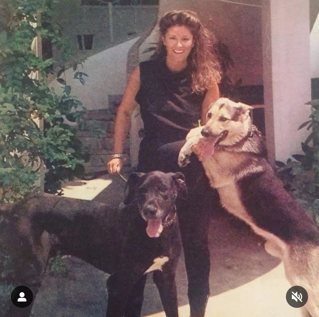 PowerShellTurbo's tweet image. Gülşen Bubikoğlu..

Eskilerde ki  asalet ve samimiyet

Şuan yok