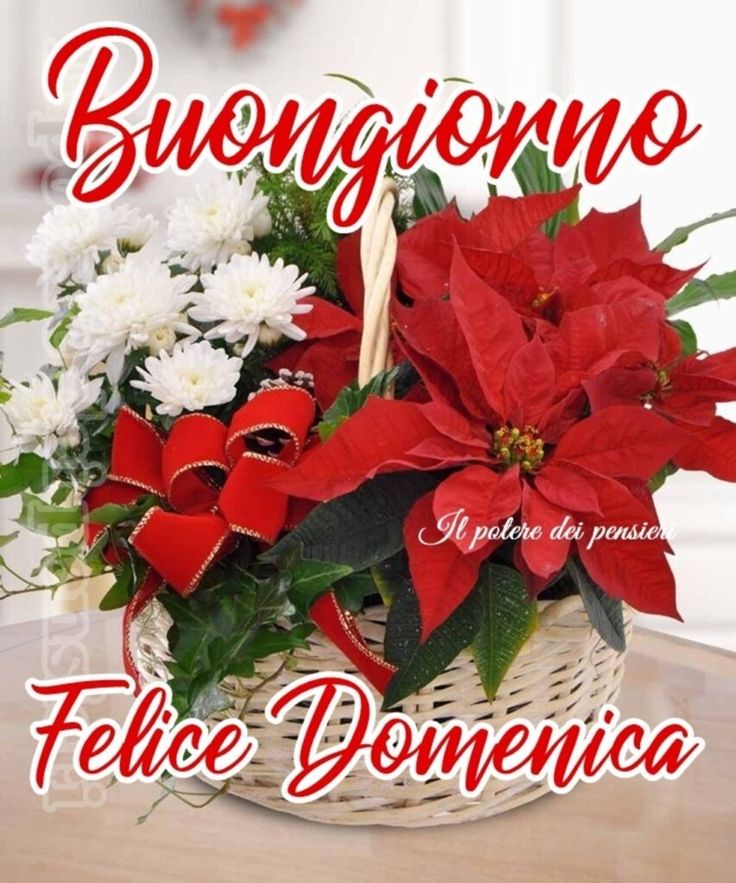 @DavLucia @Rebeka80721106 @ScrivoArte @bralella09 @AnnaRDelorenzo @annalisalisi072 @Rossy_only @onlyamour @olivia_giurea @EmileeLy @AntonellaLaTor6 @DirTecno @sonlello @DonFabrizioC @giug13