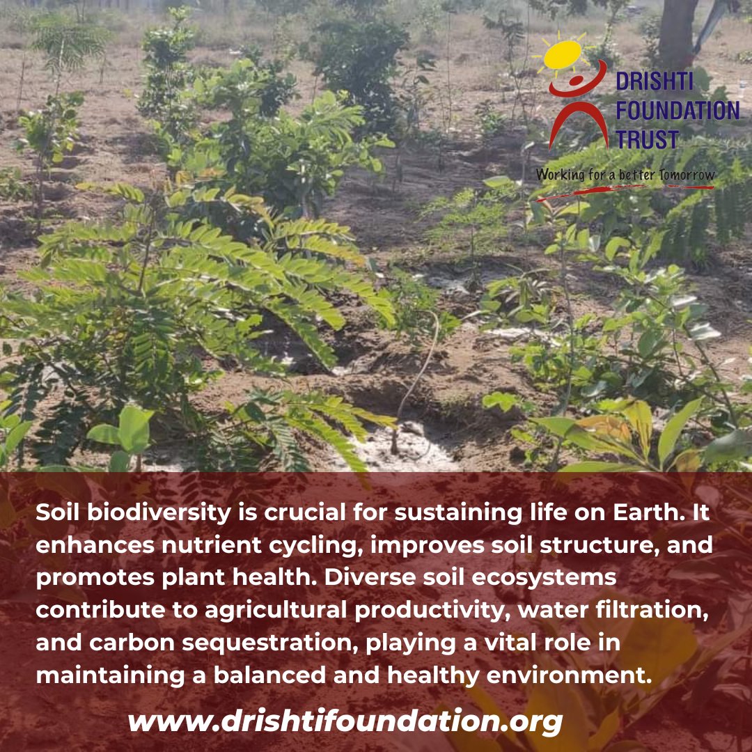Protecting #soilbiodiversity is essential for the long-term #sustainability of our #ecosystems and global #foodsecurity.

#WorkingForABetterTomorrow!

@dkgautam007 @SoilAssociation
@NishuSaini1990 @SoilBioDivUK
@soilbio_comm @NationalBiodiv
@UNBiodiversity
@UNECOSOC