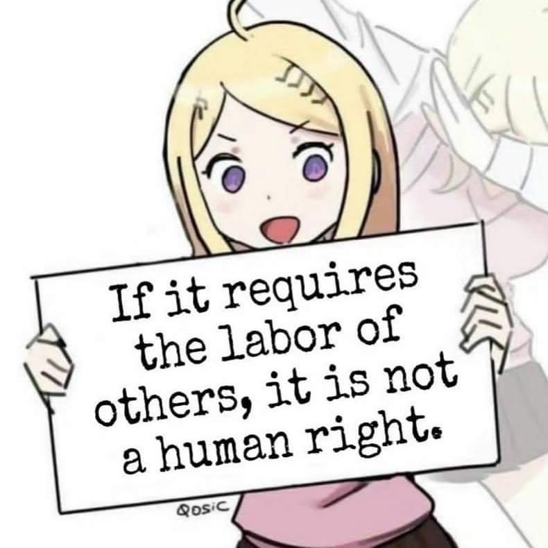 If it requires the labor of others, it is not a human right.

#humanrights
#HumanRightsViolations
#slavery
#individualrights
#theft