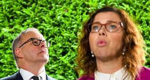Come_on_man 🇦🇺 tweet media