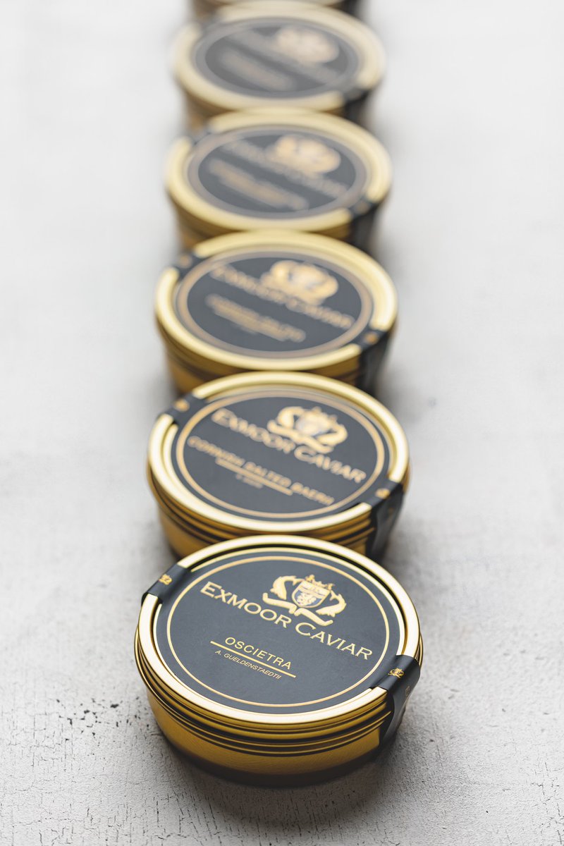 London Fine Foods (@londonfinefoods) on Twitter photo Black Gold: December is flying by, order your Exmoor Caviar for Christmas today!
Available in tin sizes from 10g to 1kg, to suit all budgets. All tins are packed with a 3 month shelf life.
<a href="/ExmoorCaviar/">Exmoor Caviar</a> <a href="/LondonFineFoods/">London Fine Foods</a>
#caviar #exmoorcaviar #caviarforchristmas Black Gold: December is flying by, order your Exmoor Caviar for Christmas today!
Available in tin sizes from 10g to 1kg, to suit all budgets. All tins are packed with a 3 month shelf life.
<a href="/ExmoorCaviar/">Exmoor Caviar</a> <a href="/LondonFineFoods/">London Fine Foods</a>
#caviar #exmoorcaviar #caviarforchristmas