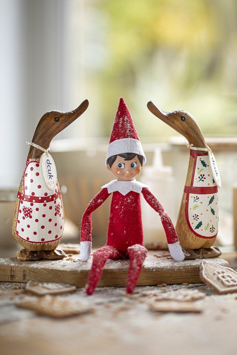 Yes our favourite naughty little elf is back, and creating mischief (and a mess!) with our Christmas Baker Ducks in the kitchen. Uh oh, there is flour everywhere! 😬

#elfonthehelf #dcuk #christnasgifts
