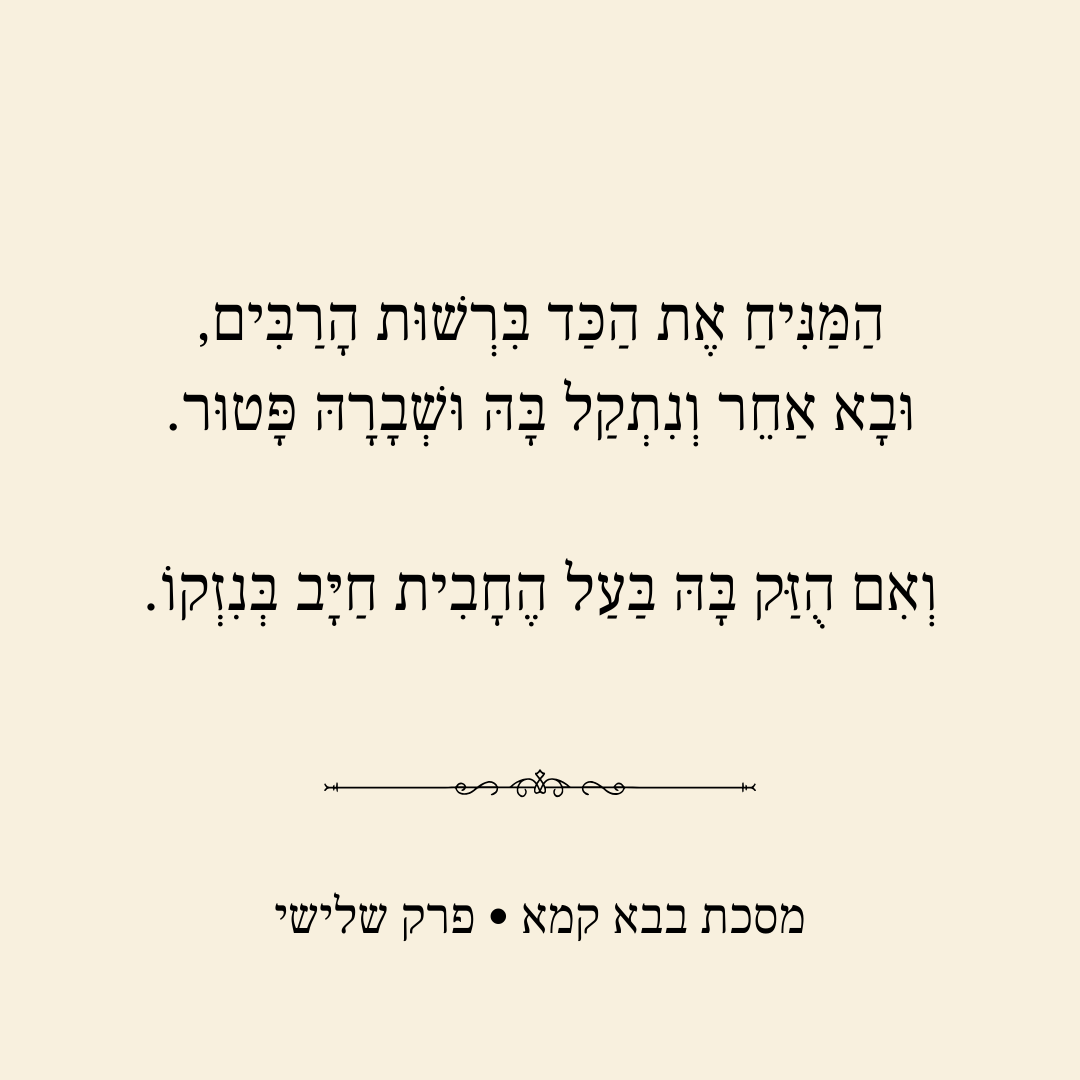 בר נתיב, יהודיה מקצועית tweet media