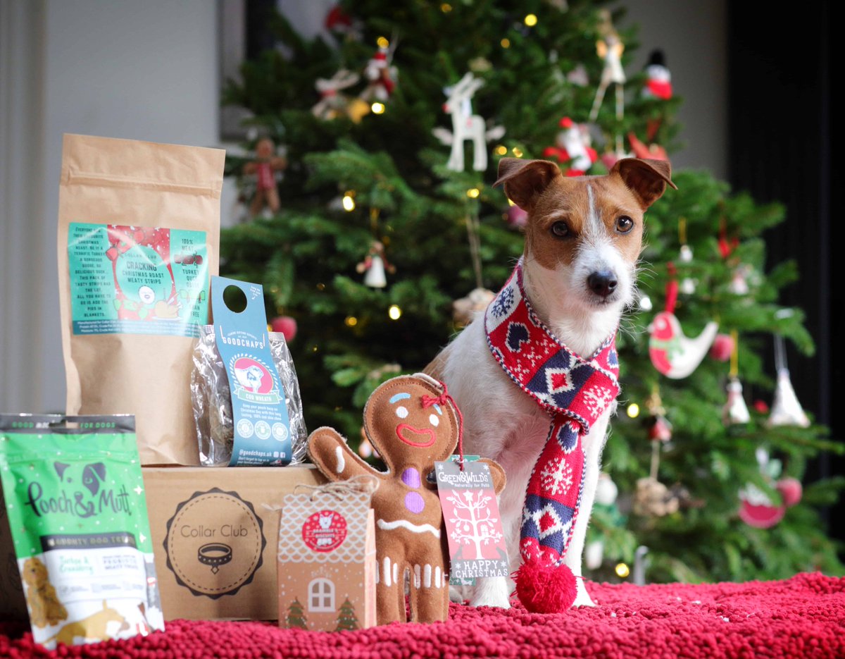 Add variety to your dogs diet with a subscription box from @collarclubsub Packed with natural treats and sustainable dog toys it’s a great way to discover new brands & pamper your pooch SAVE 30% on your first box with CCDOTTY30 dotty4paws.co.uk/product/collar… #UKGiftAm #MHHSBD