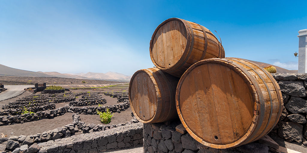 Las principales zonas de producción vinícola en #Lanzarote las encontramos en La Geria, Masdache y Tinajo... 🤗

De hecho, tú mismo puedes visitar las bodegas para aprender sobre los viñedos, los vinos... 😮

👉 bit.ly/3FY4Vfp

#VisitSpain #SpainSustainable @Canarias_es