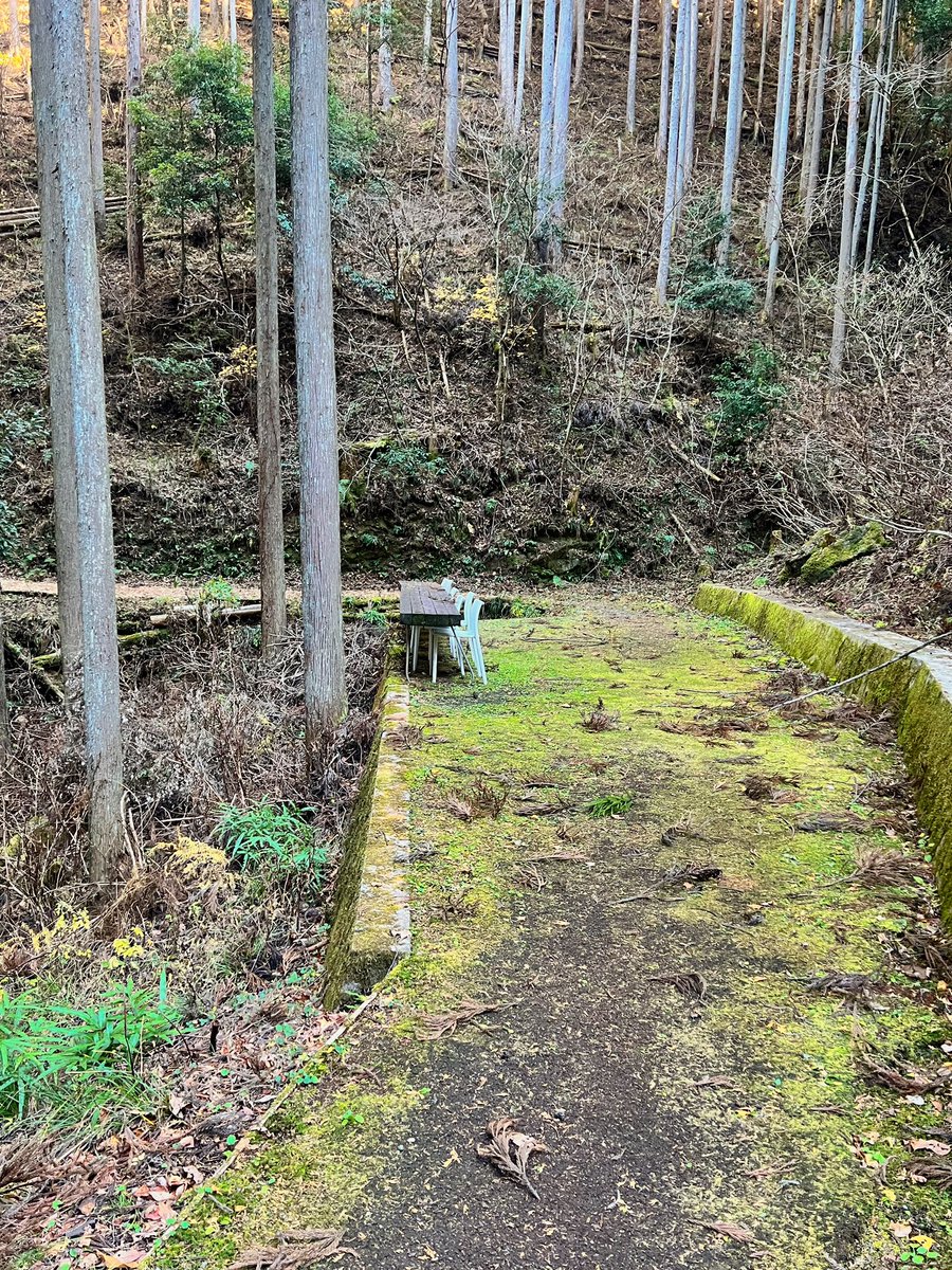 前川桃子 (@momoti_m) / Posts / X