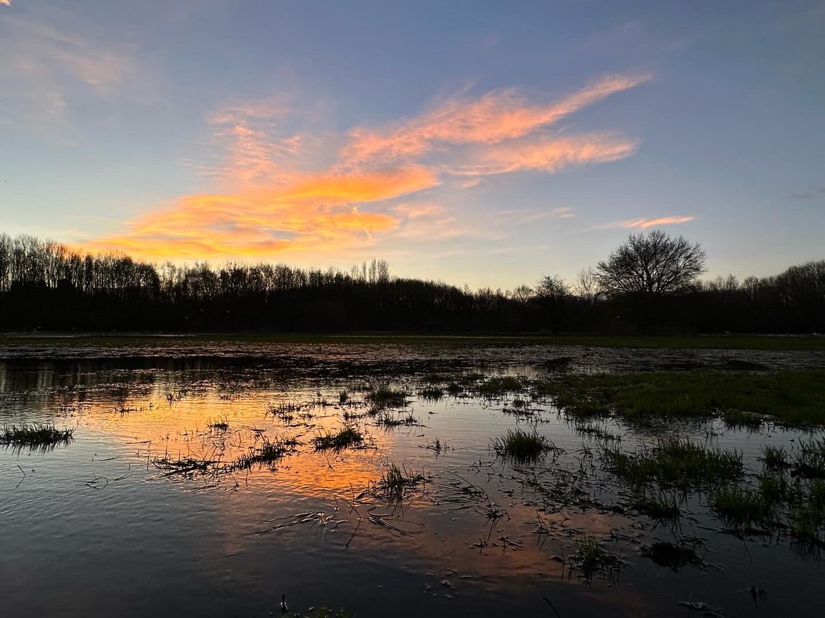 Natures healing properties - this mornings #Sunrise at @OurTurnMoss - the flooding leading to some lovely reflections. #365dayswild #wellbeing #nature #therapy #outdoors #mindfulness #therapistsconnect #selfcare #mentalhealth #health #sundayvibes