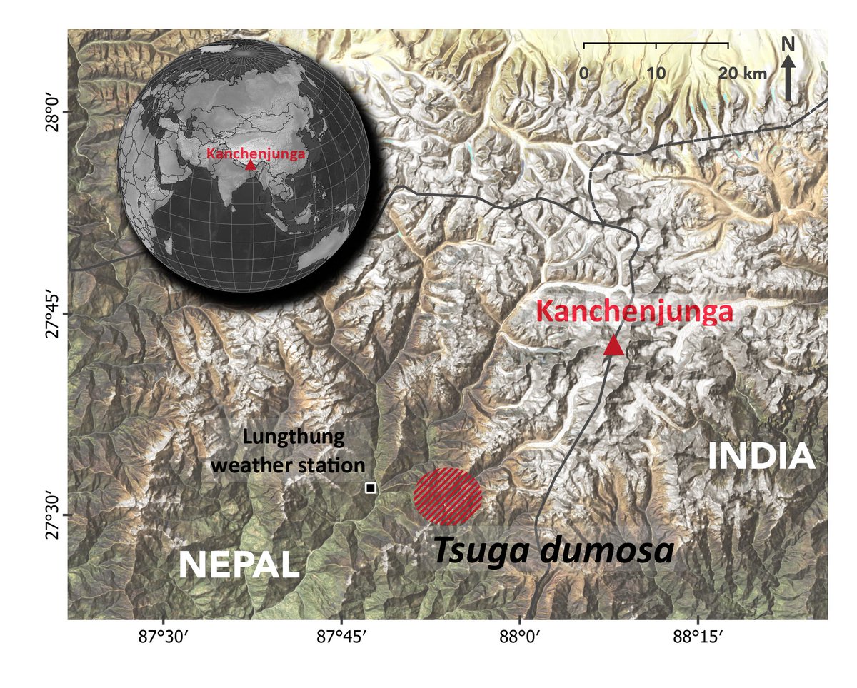 Department of Geoecology (@spacetimeeco) on Twitter photo Global #warming alters #Himalayan hemlock’s #climate sensitivity and #growth dynamics
Read an <a href="/IBOTCZ/">Botanický ústav AV ČR/Institute of Botany CAS</a> new paper from #Nepal
doi.org/10.1007/s00382… Global #warming alters #Himalayan hemlock’s #climate sensitivity and #growth dynamics
Read an <a href="/IBOTCZ/">Botanický ústav AV ČR/Institute of Botany CAS</a> new paper from #Nepal
doi.org/10.1007/s00382…