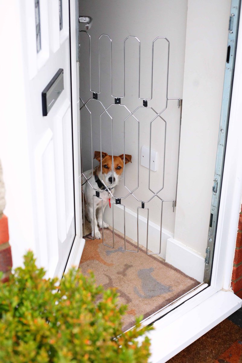 Do you ever worry about your #dog legging it off down the road when someone calls at your door? Acting as a versatile safety barrier, the Dog-G8 it is easy to install for all kinds of doors, openings, stairways, motorhomes and more! dotty4paws.co.uk/product/dog-ga… #UKGiftAm