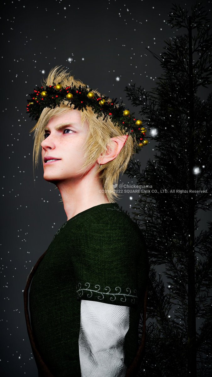 雪降ったね〜

冬の妖精ｻﾝ
#FF15 #FFXV #FFXVWindowsEdition