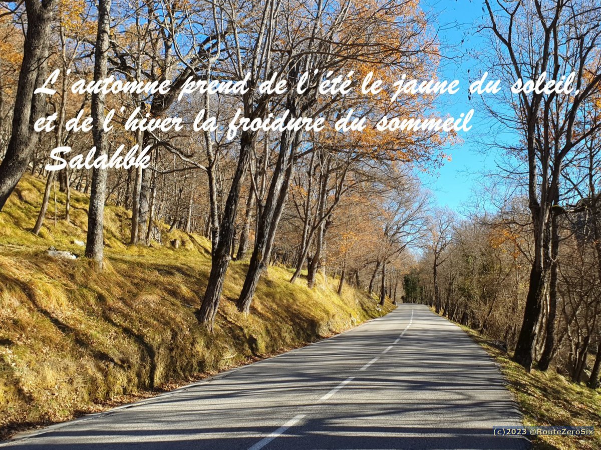 routezerosix's tweet image. Route de Coursegoules / col de Vence en automne

#coldeVence #Coursegoules #Citation #Automne #AlpesMaritimes #CotedAzurFrance #CotedAzur #Routes06