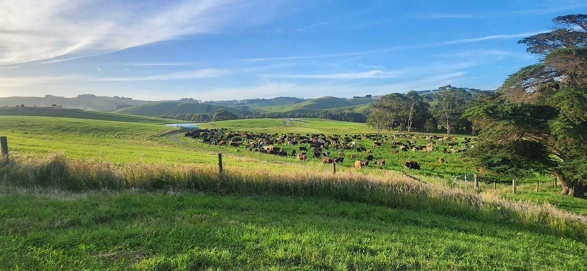 Brian Corr tweet media