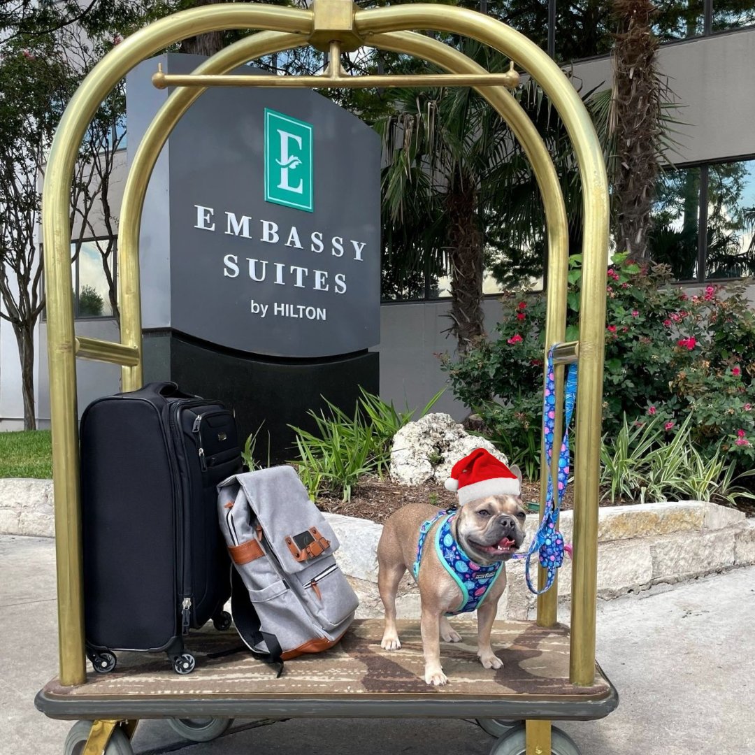 Embassy_ATX_DT's tweet photo. Happy Pawlidays! Book your stay and gift yourself and your furry best friend some holiday cheer with an #ATX staycation. #ATXHolidays #Christmas2023 #PetfriendlyHotel #ATXPets https://t.co/b7eit5qQfk
