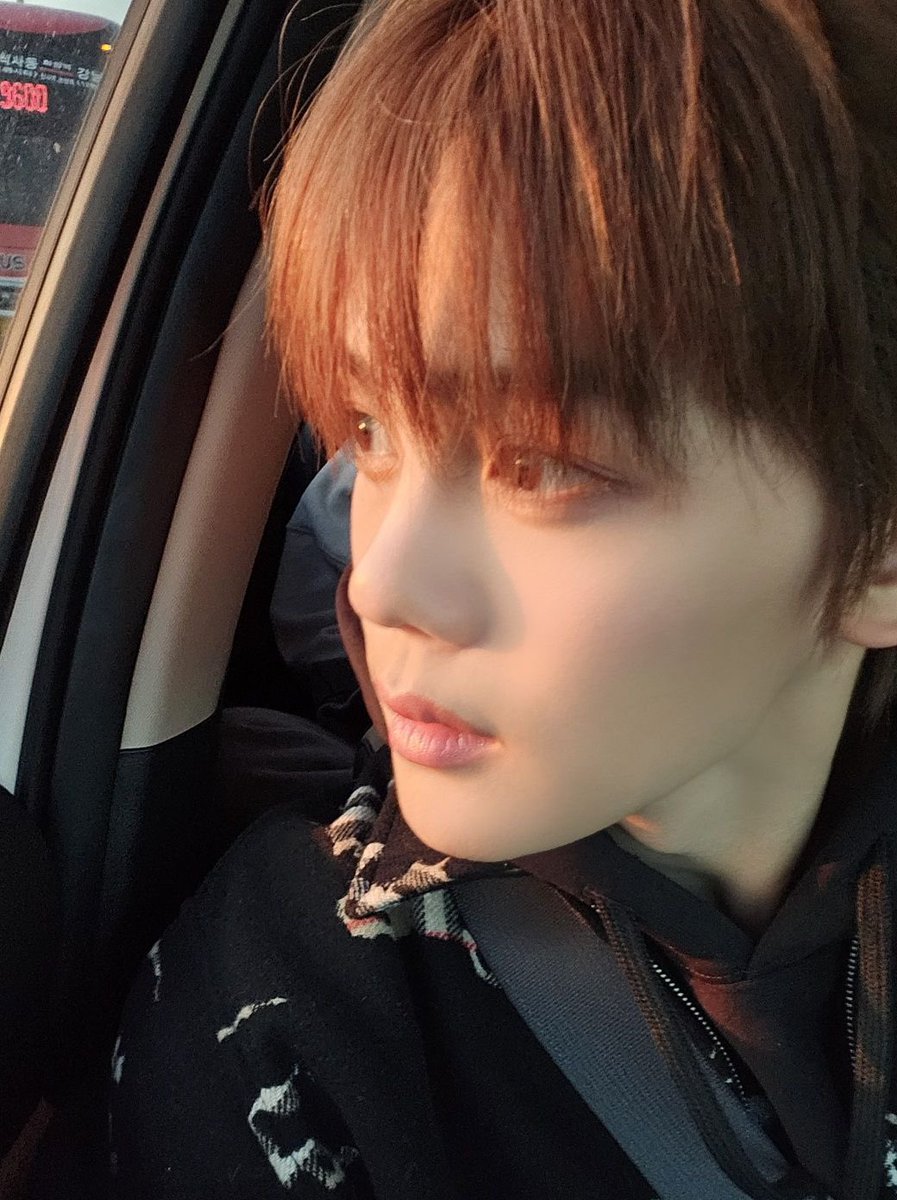 bambi ? 🤎 #우리집강아지
