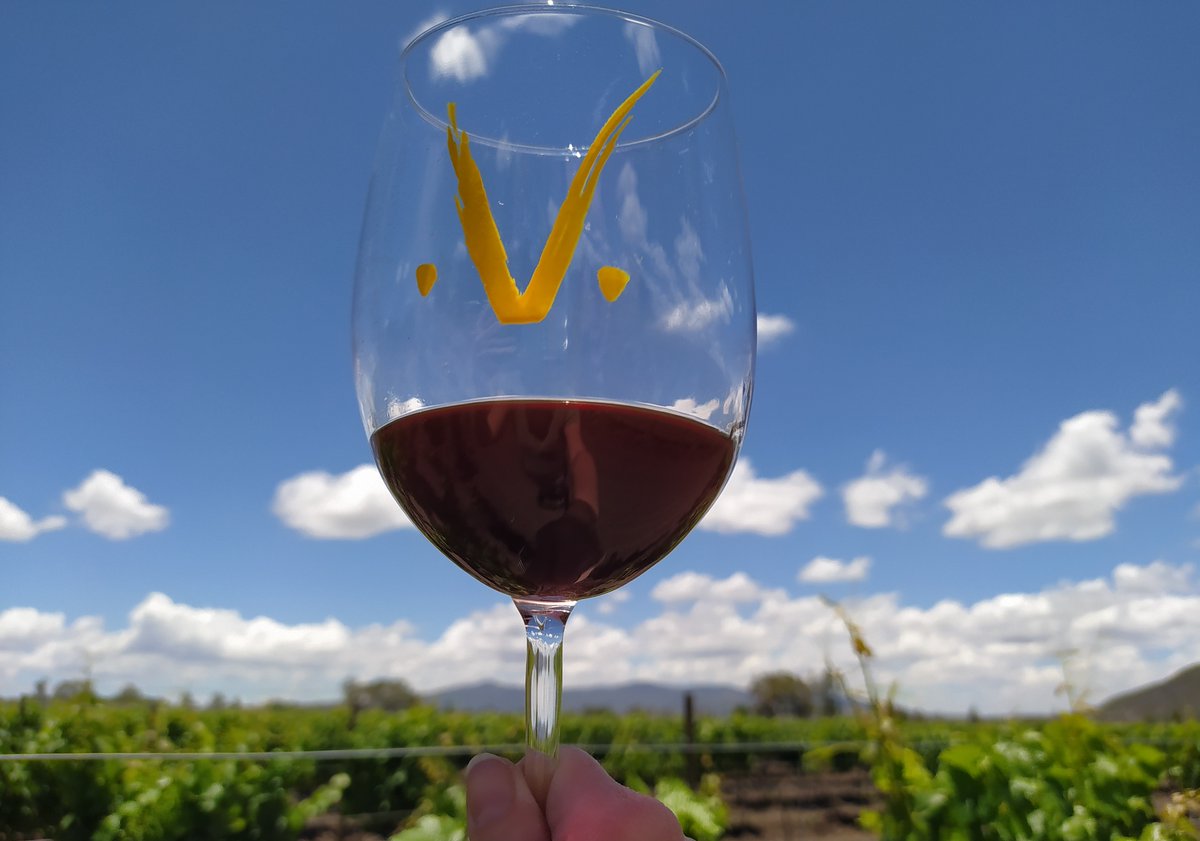 San Miguel de Allende is known for its Baroque architecture and festive festivals, but did you know it's also surrounded by a wine region? Come explore with real wine experts! epicureanexpats.com/san-miguel-win… #travel #SundayVibes #wine #winelovers