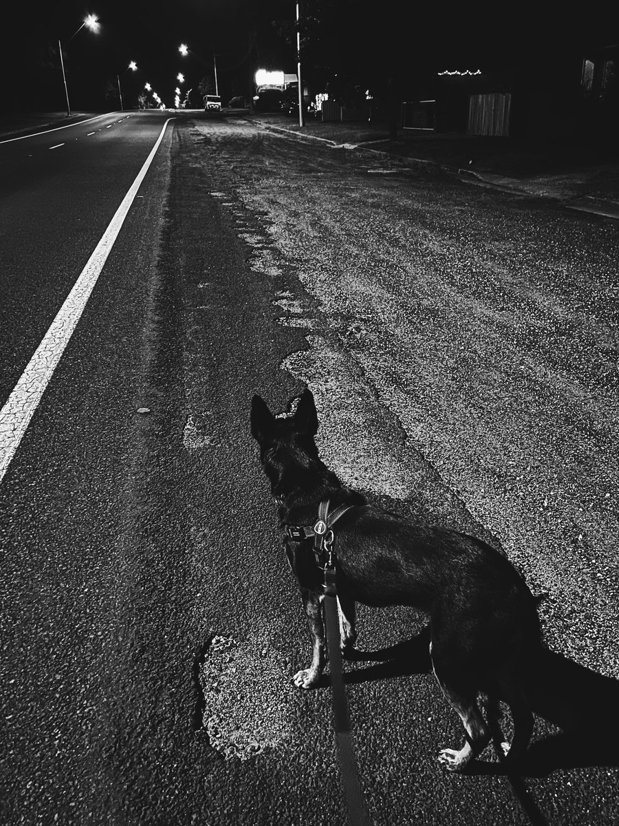 T I M S T Ξ V Ξ N S tweet media