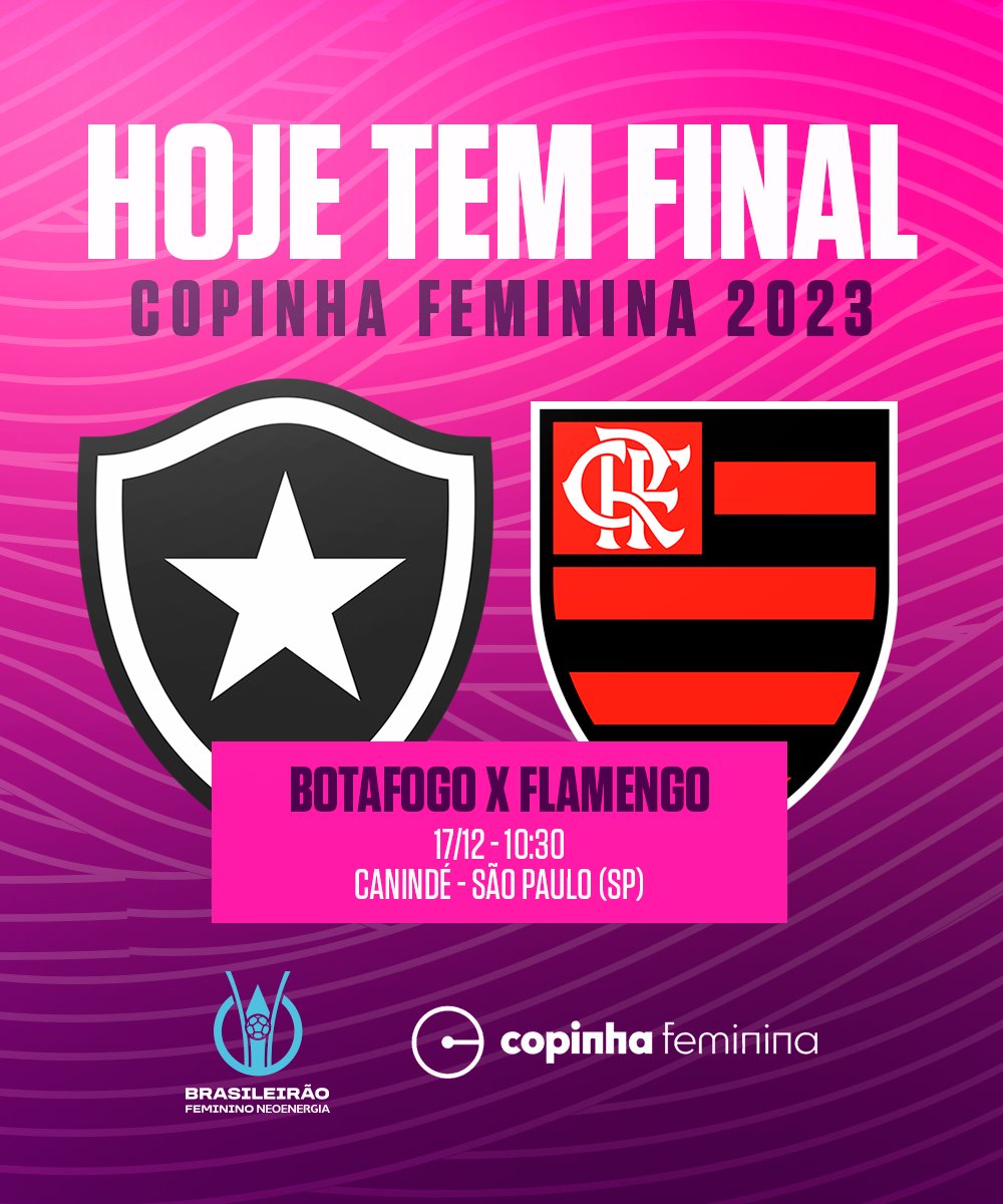 TikTok transmite jogos e conteúdo exclusivo do Brasileirão Feminino  Neoenergia