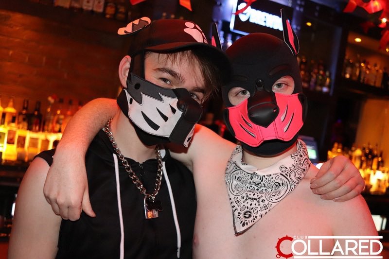 PuppyAsh40's tweet photo. Last Collared of 2023 with my bestie🥳 https://t.co/HcGgqUD8Xm