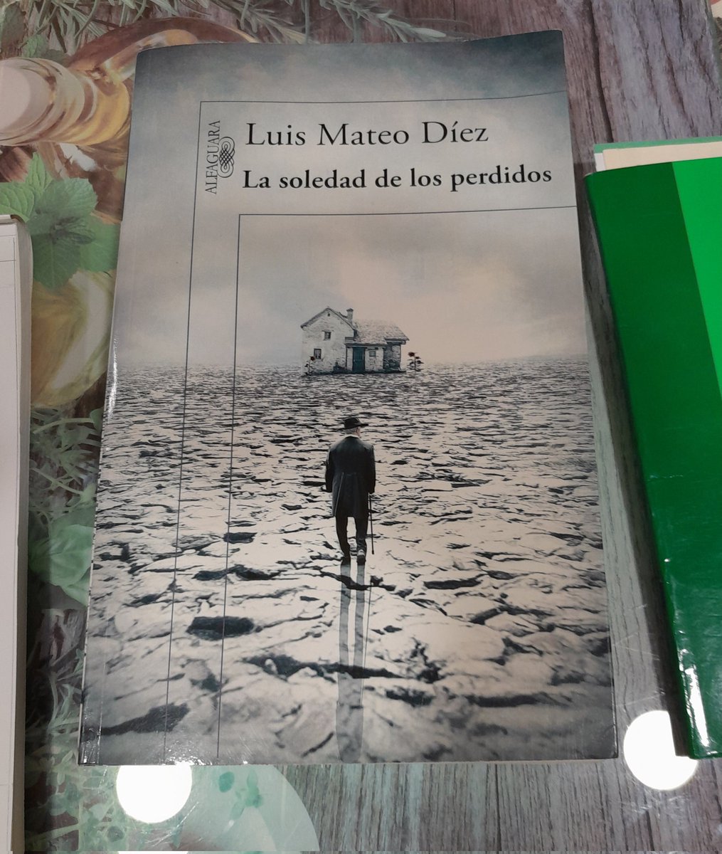 He intentado quererla, pero no se ha dejado. Salvo unos pocos capítulos (magníficos), todo lo demás (para mí) es niebla. Y ya lo siento. Me ha costado un triunfo terminar con ella.

La soledad de los perdidos /#LuisMateoDíez