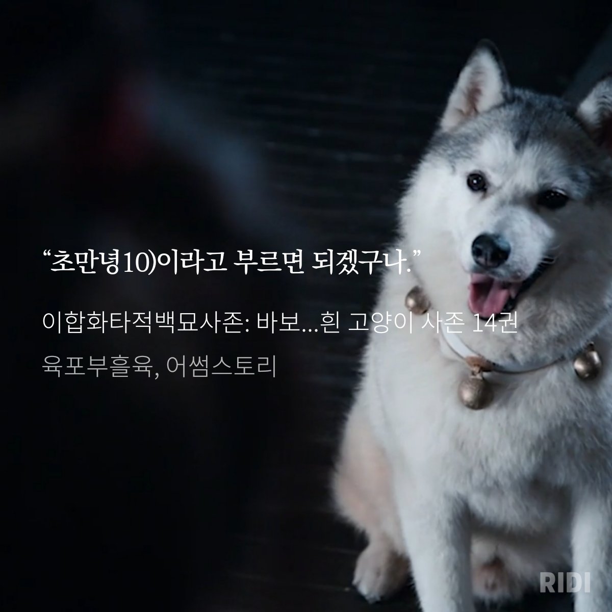 DAERYOOKBL's tweet image. ridibooks.com/books/777082322
하......진짜
평안한 밤 ..............
하.......,,,,,,,