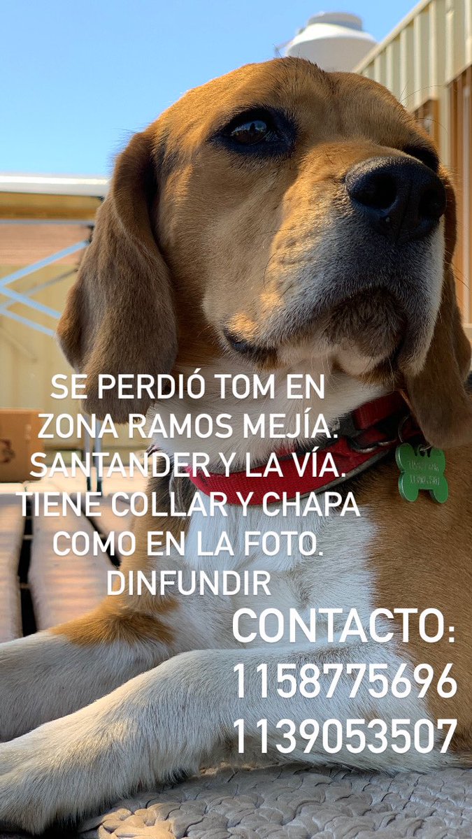 𝘚𝘢𝘣𝘳𝘪𝘯𝘢 tweet media