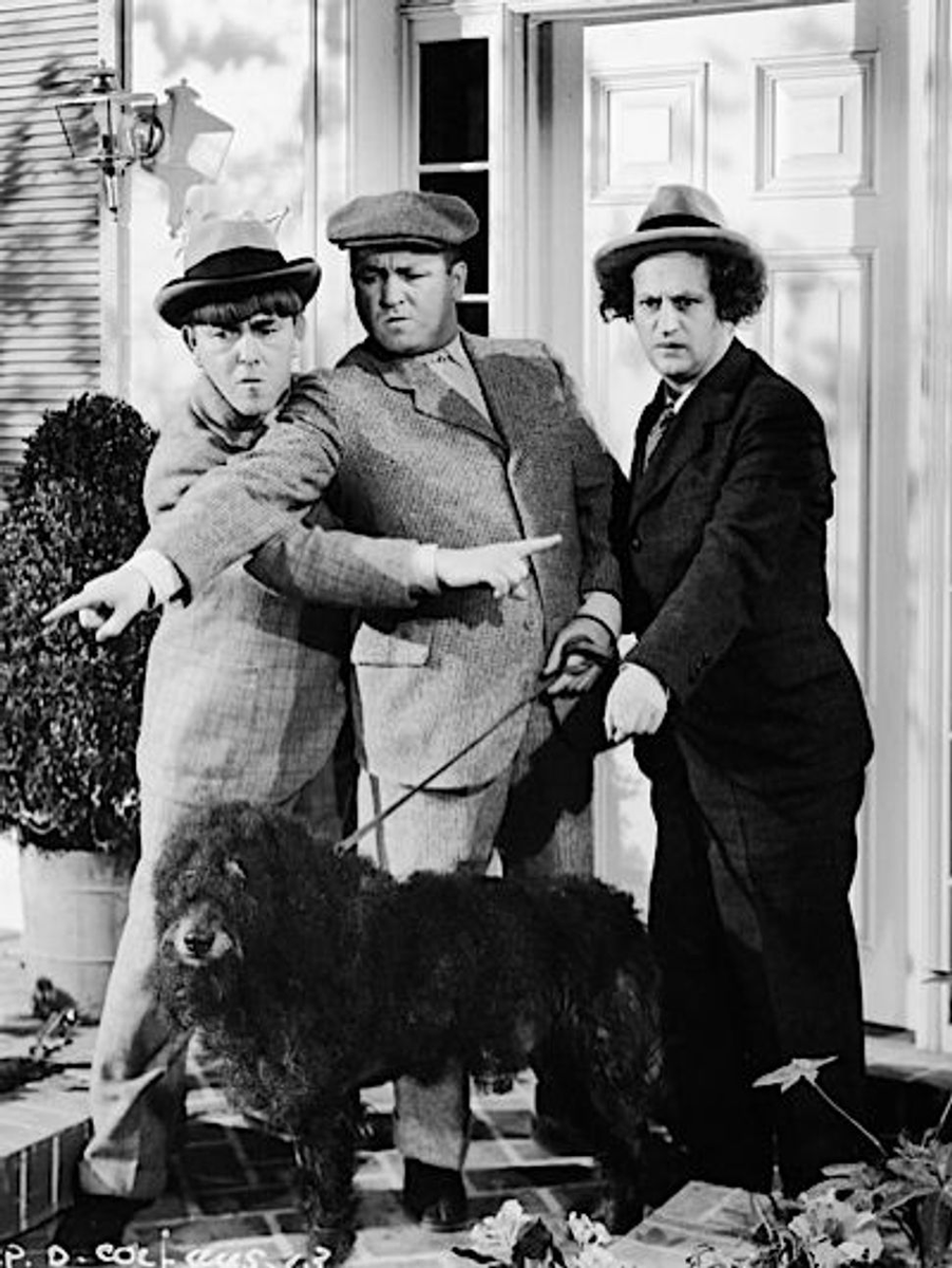 #ThreeStooges  #walkingthedog