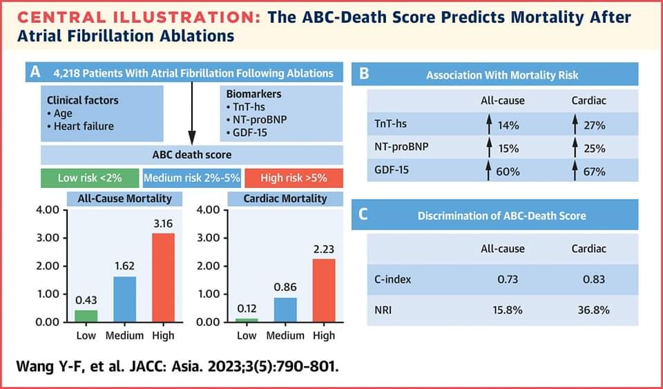 ABC-death score outperformed CHA2DS2-VASc score in discriminating and correctly reclassifying mortality risk, which helps to Identify high-risk #AF pts for more regular follow-up & careful recommendations.

Learn more in #JACCAsia: bit.ly/3R7mAX4
#CardioTwitter