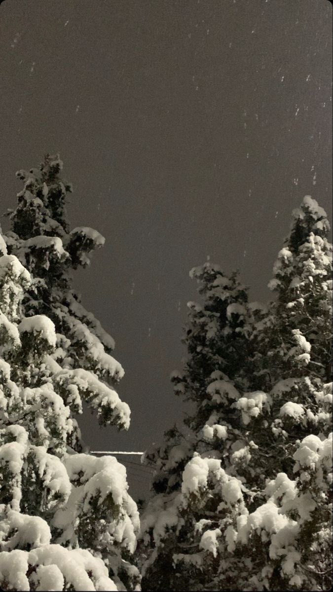 ☃️ 겨울 잠금화면&amp;배경화면 모음 ☃️