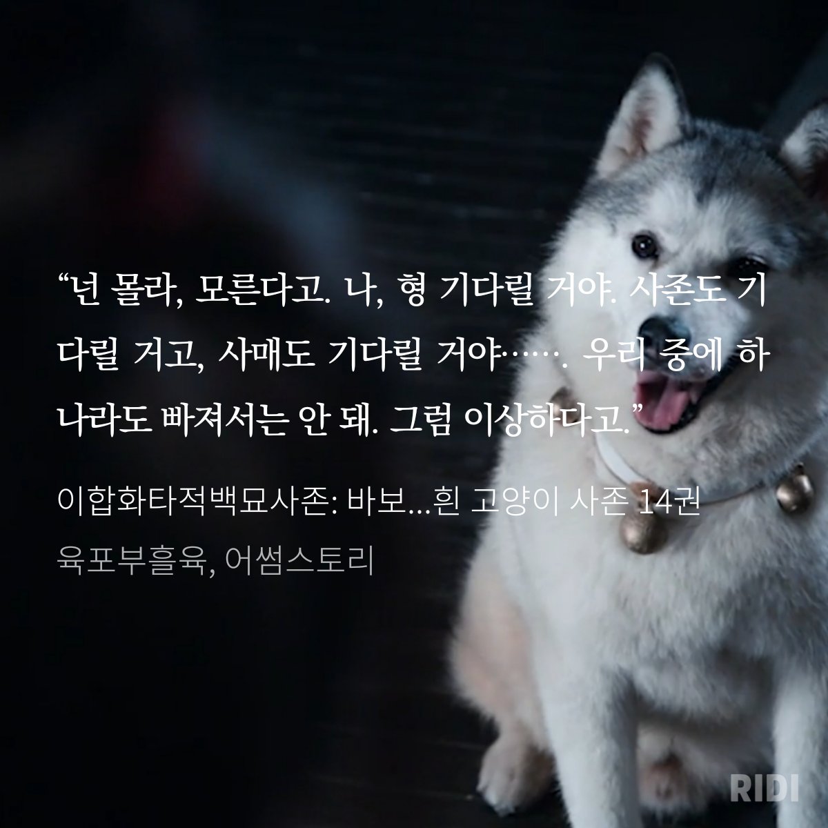 DAERYOOKBL's tweet image. ridibooks.com/books/777082322
말도안되 우리가어떻게헤어져 가족이헤어지는게 말이되 4-1=0인거잖아-!!!!!!!!!!!!!!!!!!