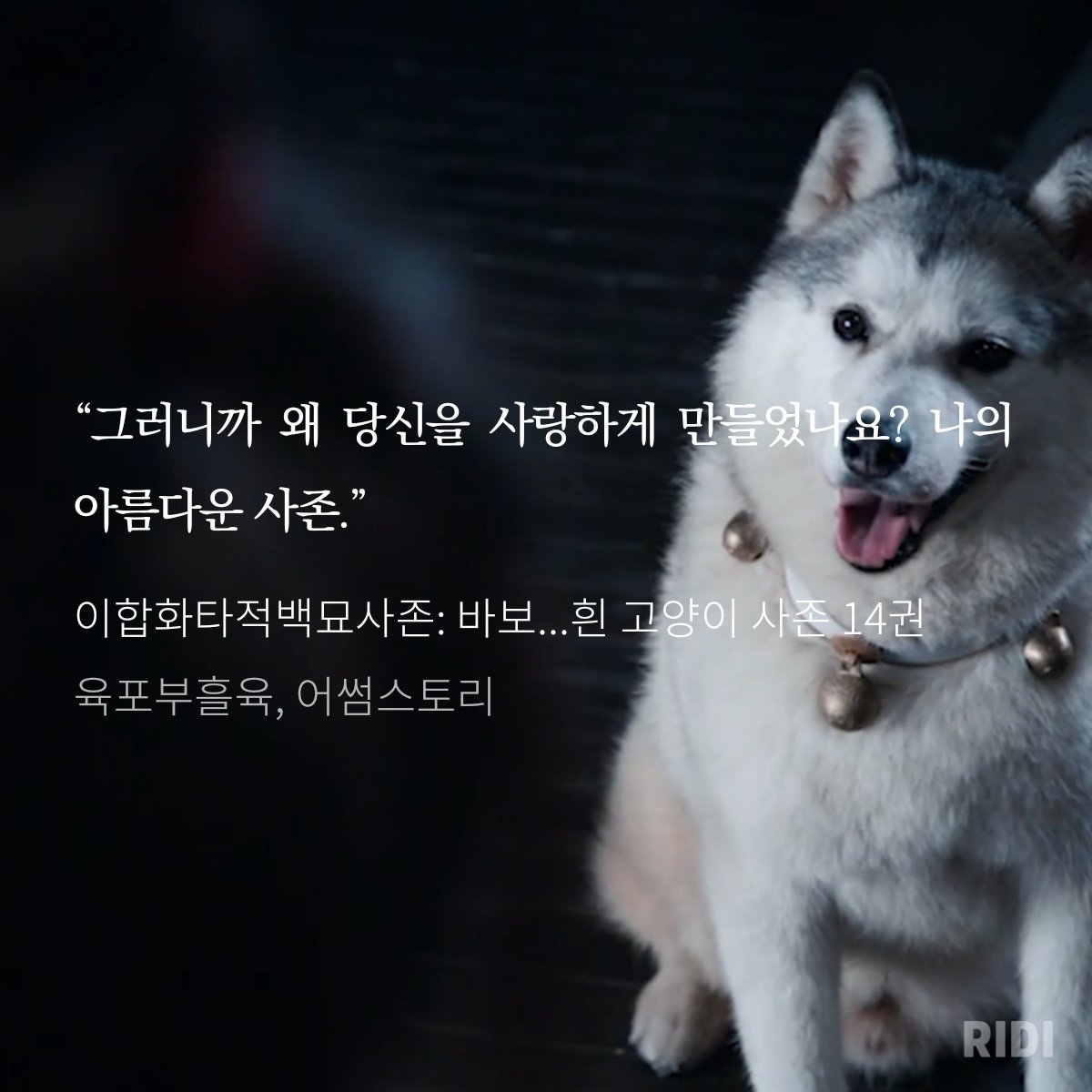 DAERYOOKBL's tweet image. ridibooks.com/books/777082322
아십 아침드라마시작